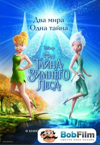 Феи Тайна зимнего леса 2012