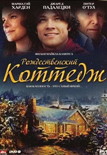 Рождественский коттедж 2008