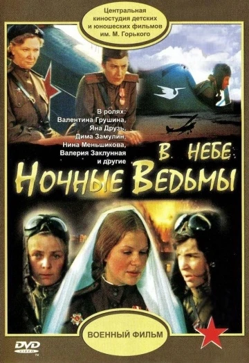 В небе „ночные ведьмы” 1981