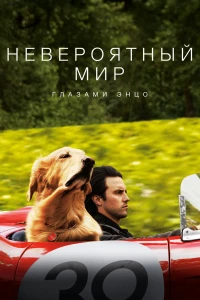 Мой брат — супергерой! (2019) 